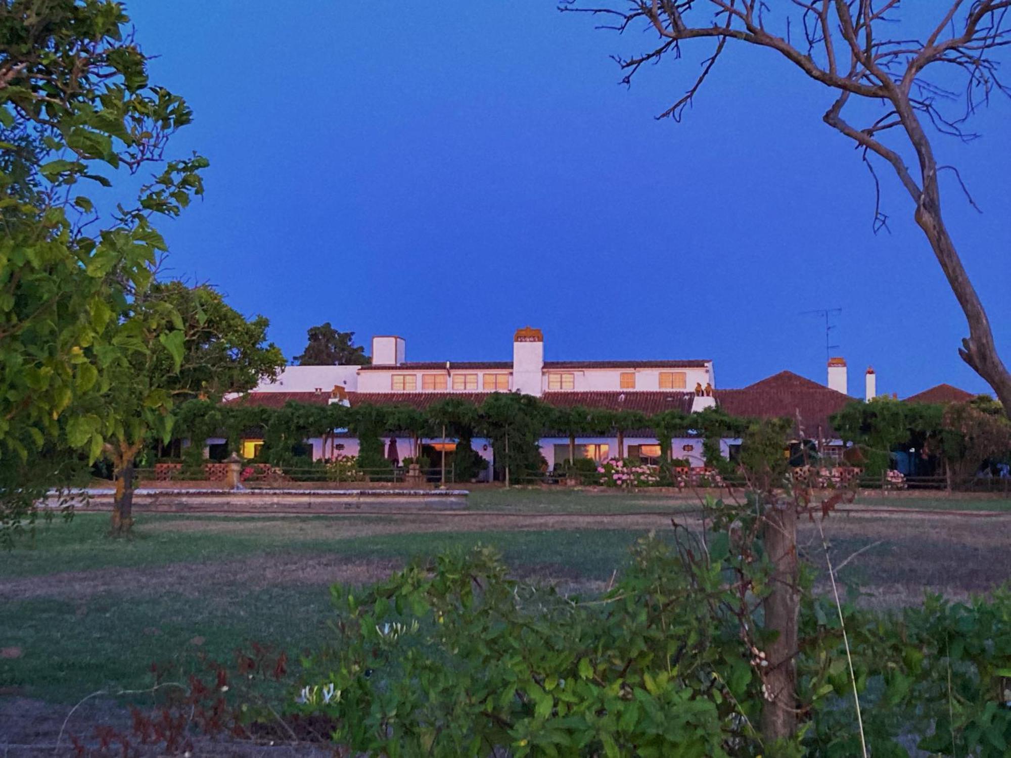 Quinta Do Casalinho - Benfica Do Ribatejo Βίλα Εξωτερικό φωτογραφία