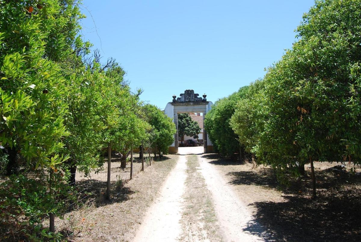 Quinta Do Casalinho - Benfica Do Ribatejo Βίλα Εξωτερικό φωτογραφία