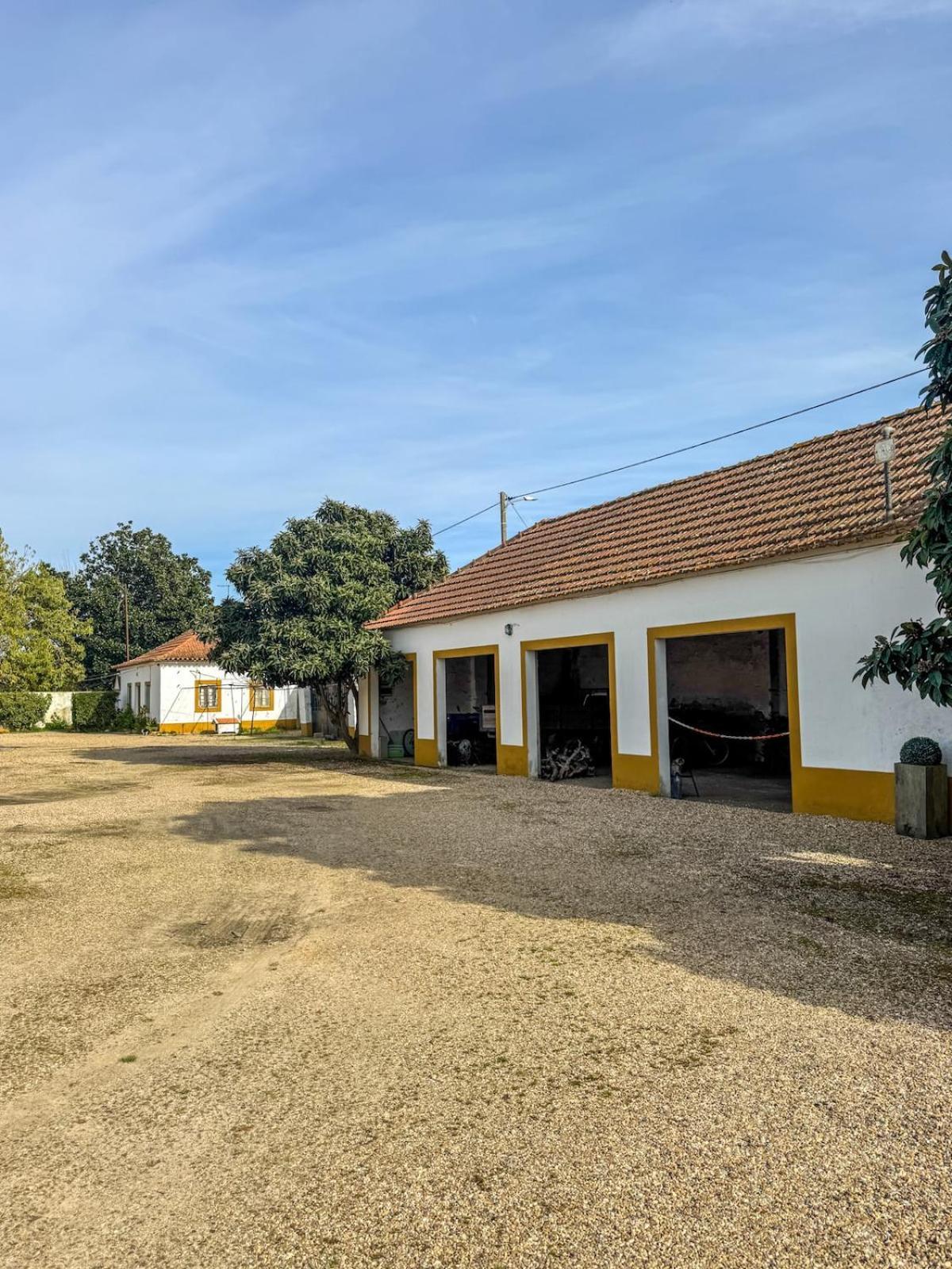 Quinta Do Casalinho - Benfica Do Ribatejo Βίλα Εξωτερικό φωτογραφία