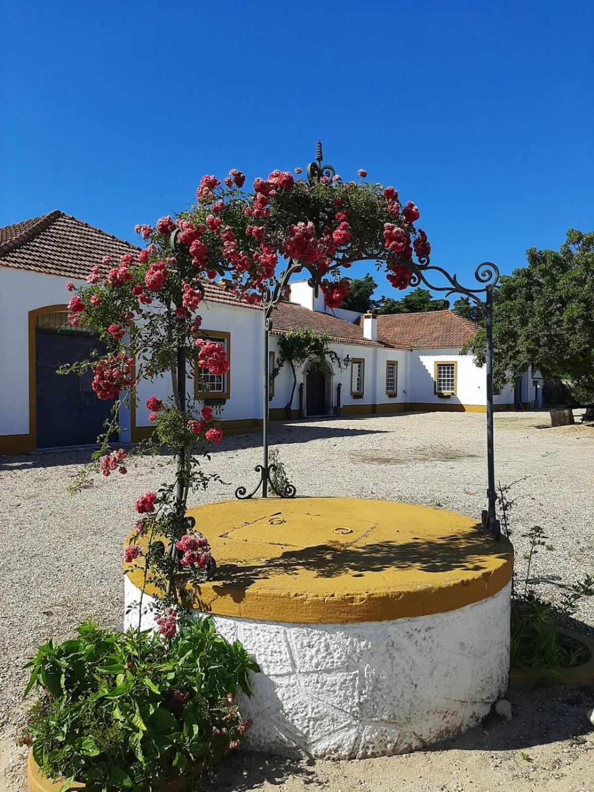 Quinta Do Casalinho - Benfica Do Ribatejo Βίλα Εξωτερικό φωτογραφία